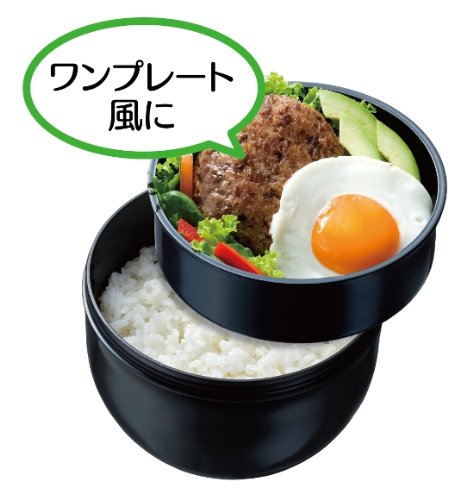 お弁当の常識を超える丼タイプ