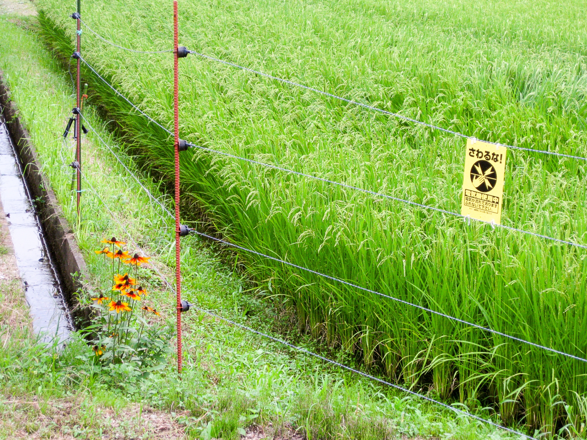 電気柵のおすすめ9選 イノシシなどの害獣対策にぴったり Heim ハイム