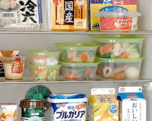生ものや冷凍にタッパータイプ