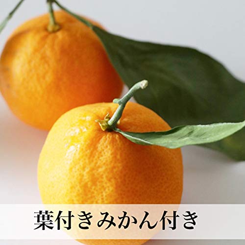 付属品もチェック