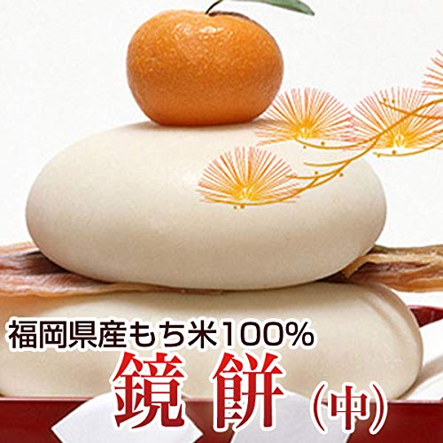 生餅タイプ