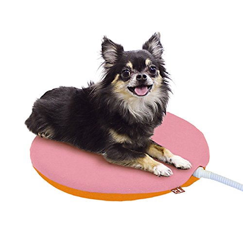 犬種に合った大きさを選ぶ