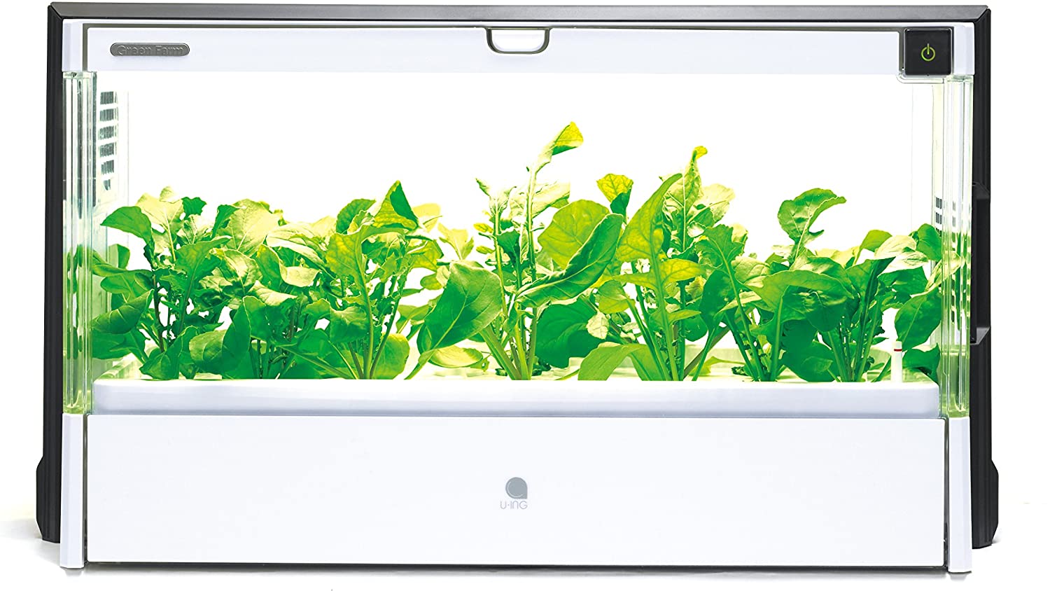 背が高い植物も栽培できる中型〜大型サイズ