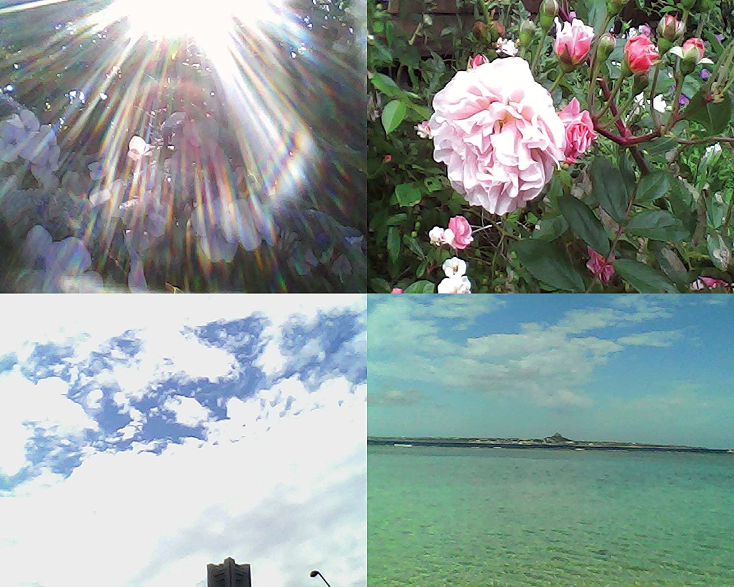 ボケ方や色調など撮れる写真の風合いで選ぶ