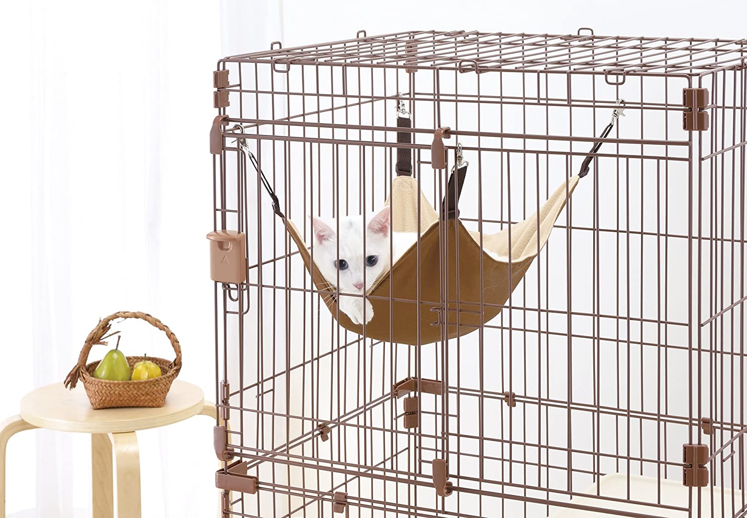 ハンモックなどのオプション付きもチェック
