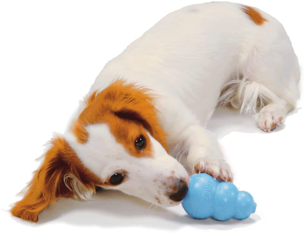 犬用おもちゃはお留守番時の遊び道具にもおすすめ