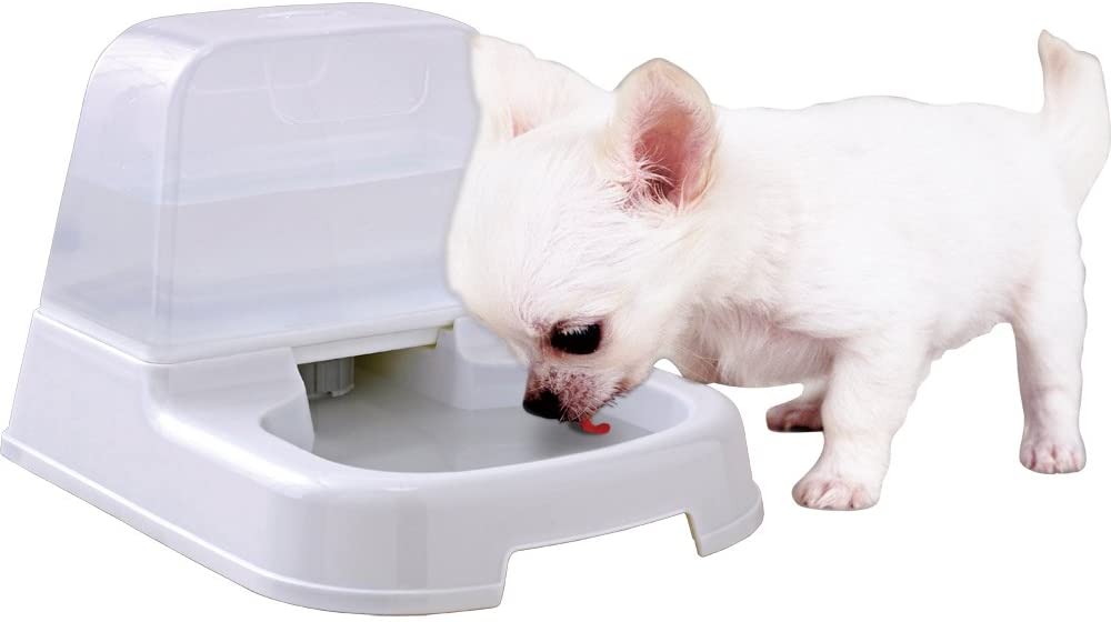 猫用自動給水器のおすすめ15選 フィルター付きも Heim ハイム