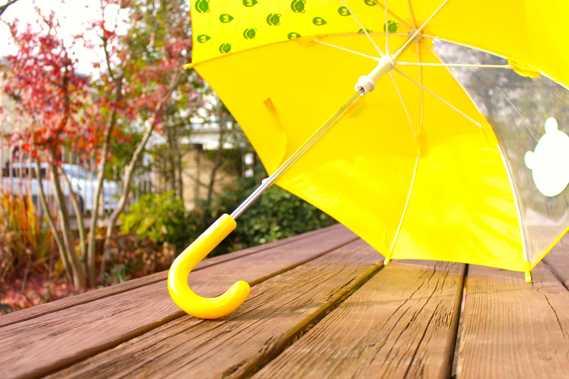 子ども用雨傘はいつから使う？