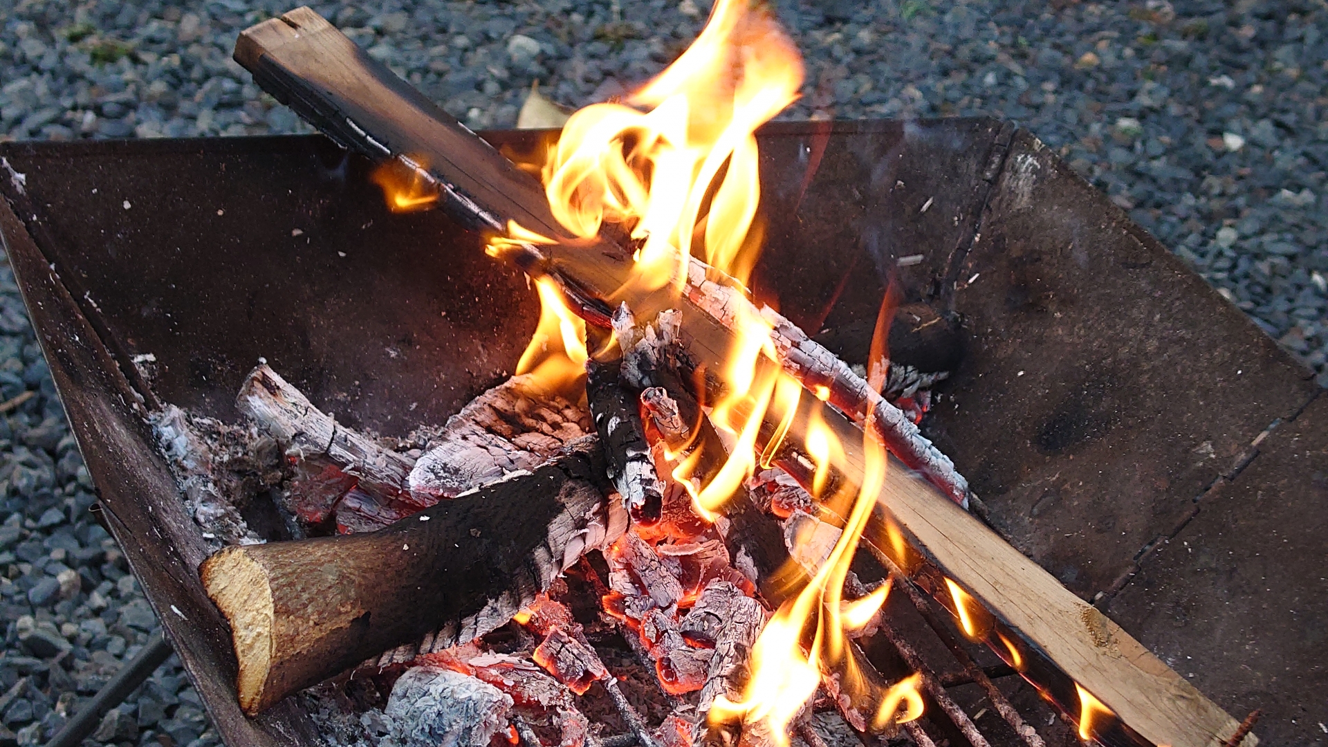 焚き火・薪ストーブ向け：長持ちする広葉樹がおすすめ