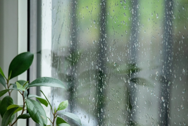 部屋の湿度を下げる方法は？家の湿気対策や除湿グッズを紹介のサムネイル