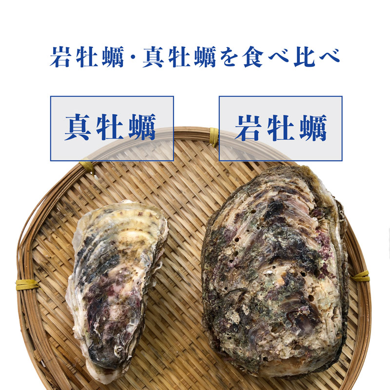 ●三陸産の牡蠣を楽しめる基本セット