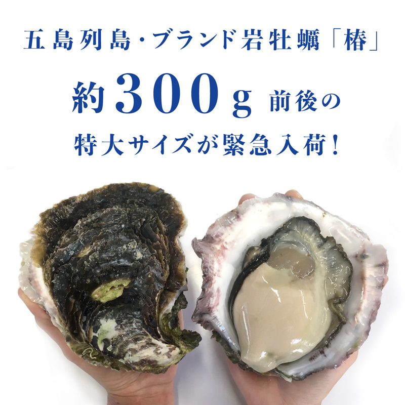 ●大きい！手のひらサイズの特大岩牡蠣を堪能できるセットも販売中