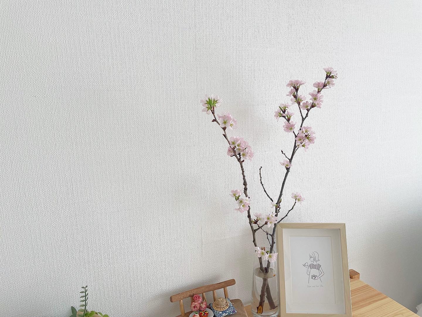 桜の枝を飾ってお部屋でも春を楽しむ